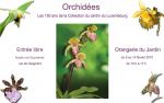 photo ou logo de 150 ans d'orchides au Jardin du Luxembourg