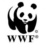 photo ou logo de Donnez un nom  un vritable ours polaire !