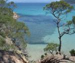 photo ou logo de Fte de la Mer  Porquerolles