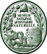 photo ou logo de Les tortues marines en France mtropolitaine et doutre-mer : bilans et perspectives des programmes de recherche et de conservation