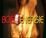 photo ou logo de Salon Bois Energie 2010